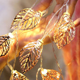 Lichterketten mit goldenen Blättern